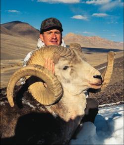 Das Schaf der Schafe: Marco Polo-Widder mit 61 Inch Hornlänge. Nie zuvor hat ein europäischer Jäger solch einen starken Widder erlegt.
