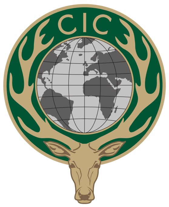 CIC new logo color.jpg